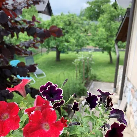 House Amalia Holiday home *