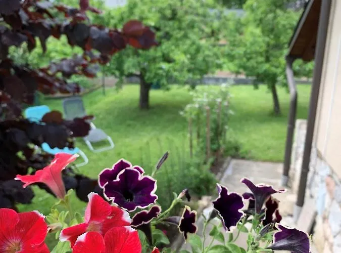 House Amalia Casa de Férias *